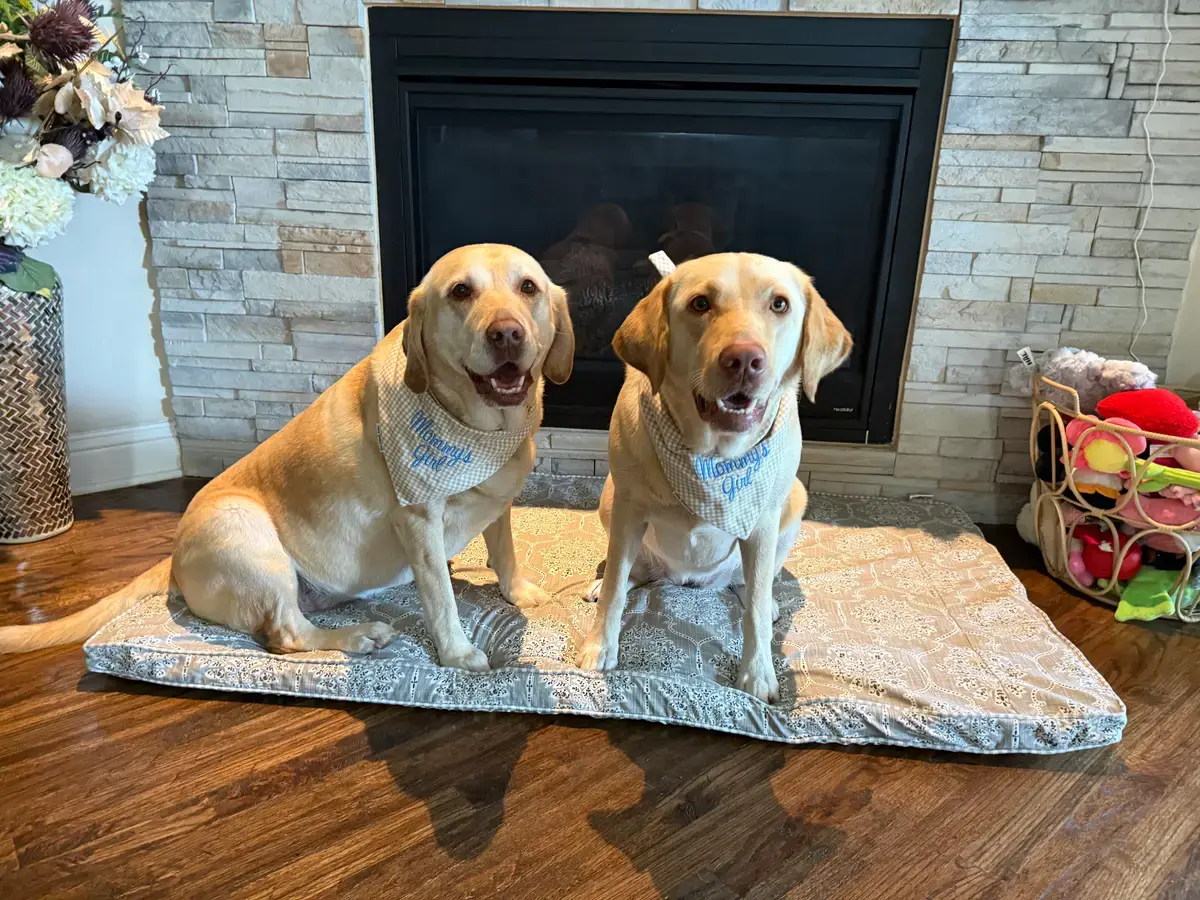 A customer's Bandana: Custom Bandanas - Mommy s Girl