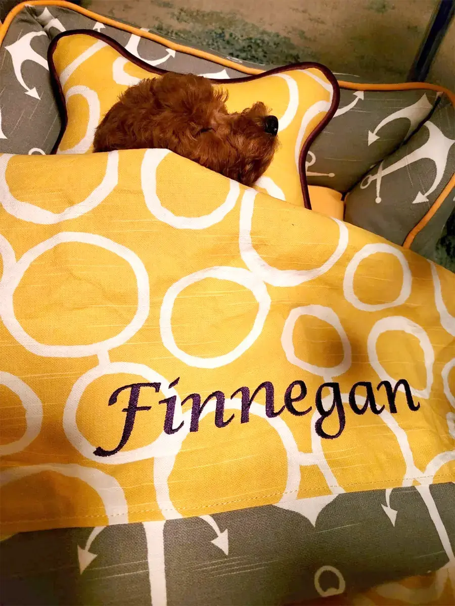 A customer's Bone Pillow: Finnegan bed blanket bone pillow