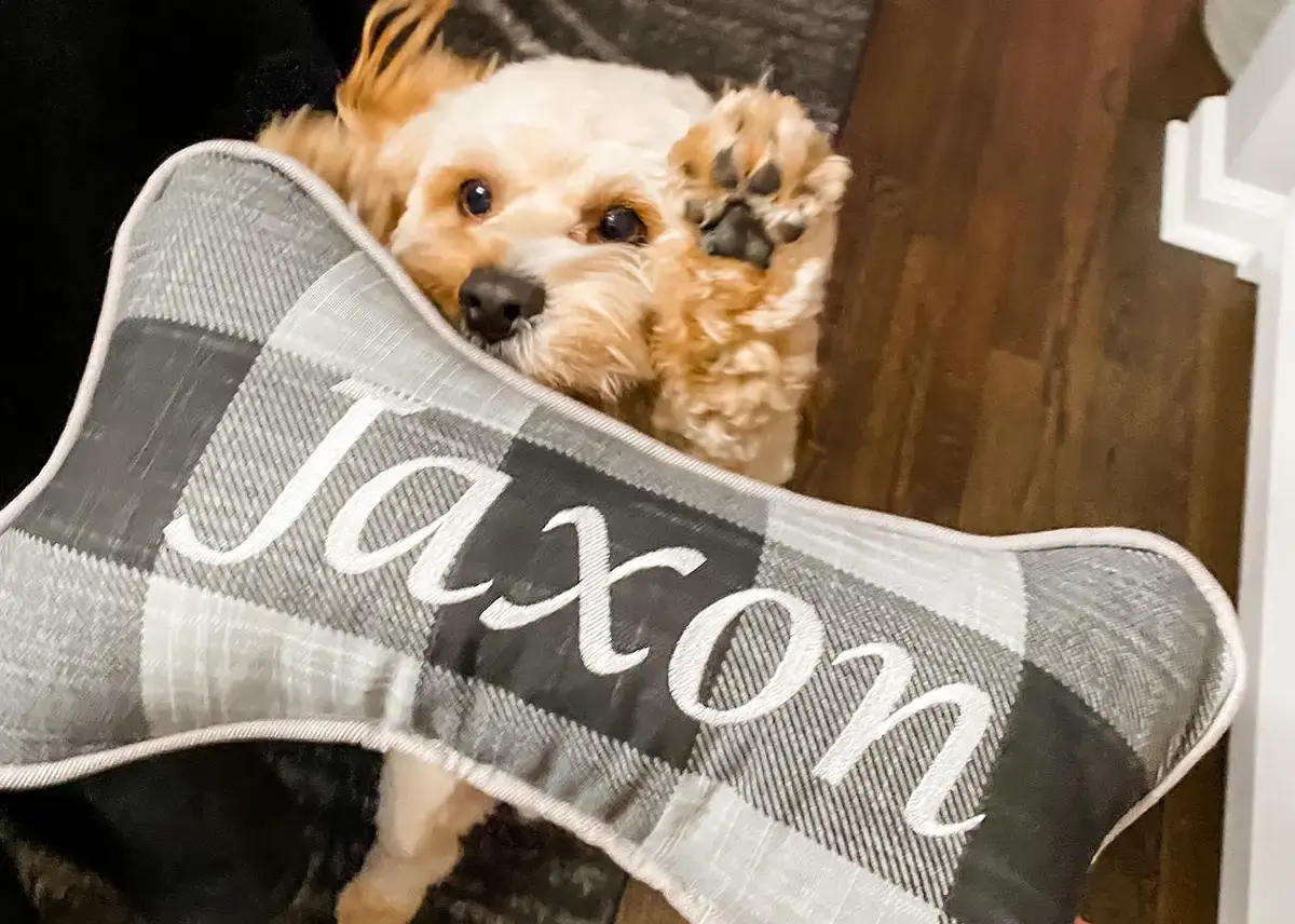Jaxon in their Bone Pillow, a customer photo