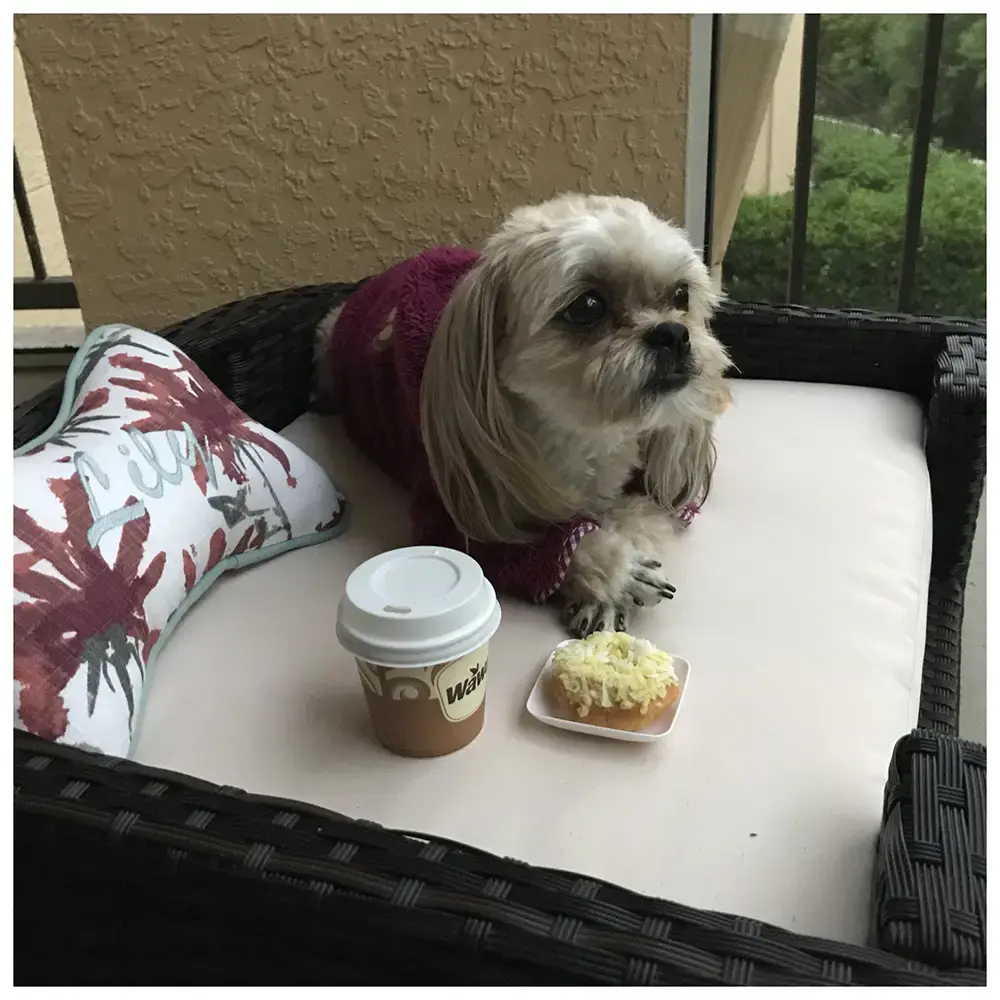 Lily in their Bone Pillow, a customer photo