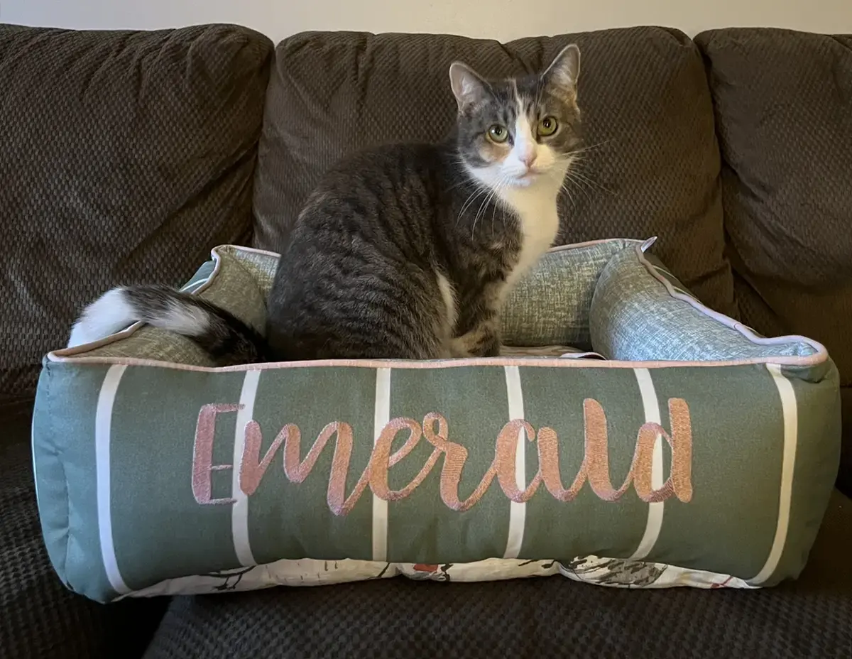 Emerald in their Cozy Cuddle Pet Bed, a customer photo