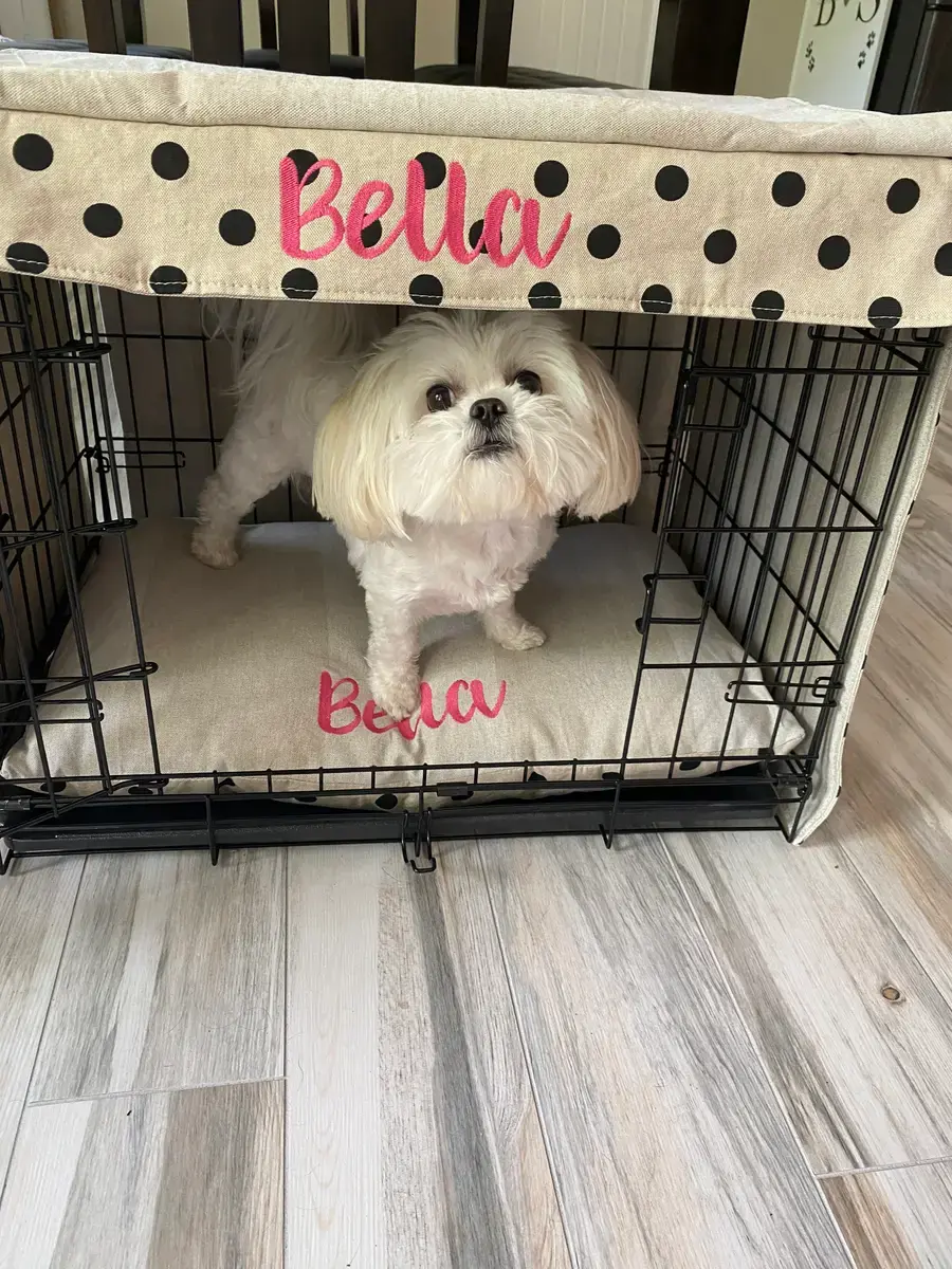A customer's Crate Cover: Bella cover and bed