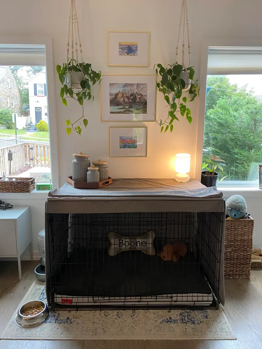Boone in their Crate Cover, a customer photo