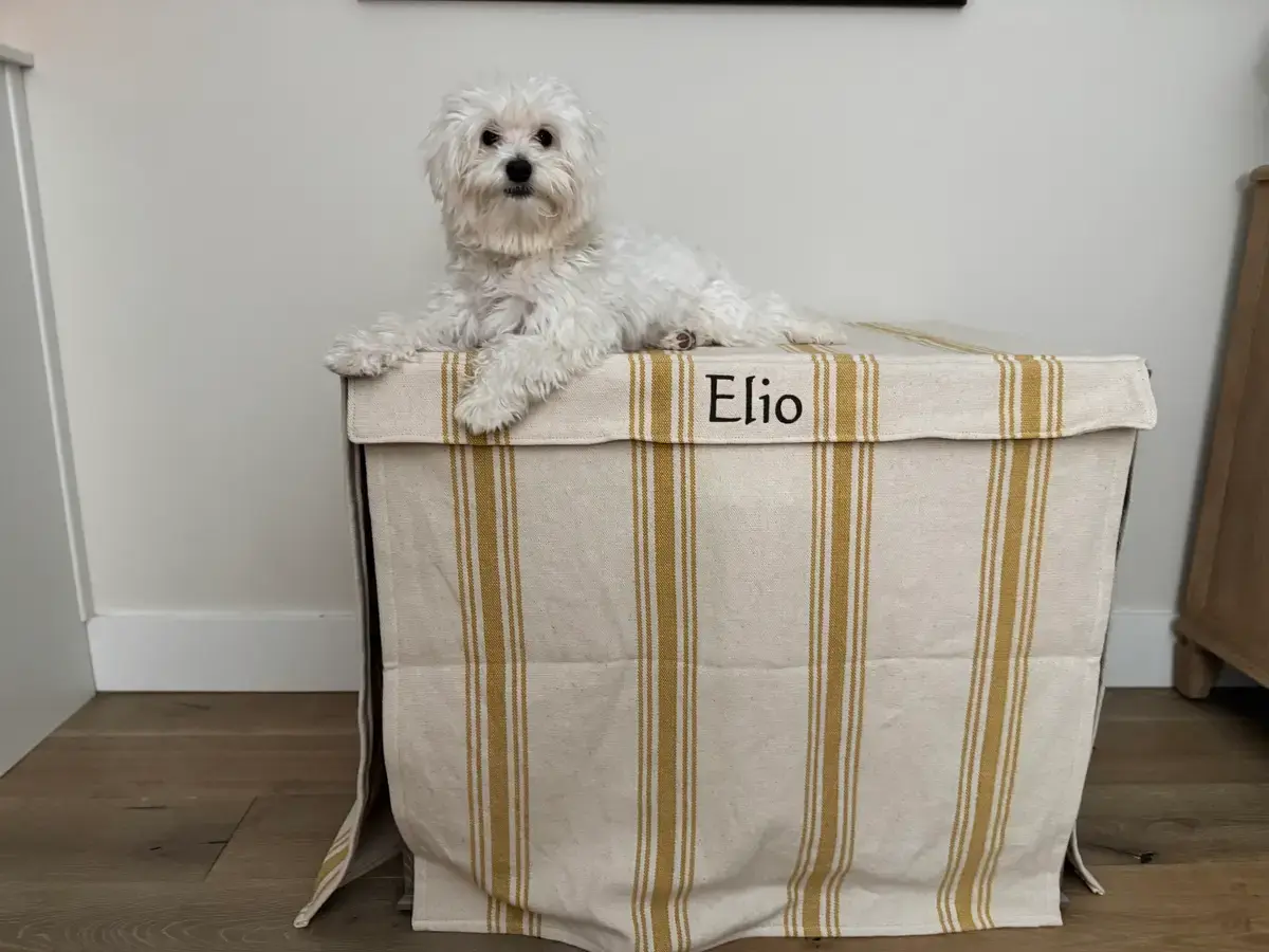 A customer's Crate Cover: Elio Farmhouse Dog Crate Cover with Feedsack Yellow Stripe
