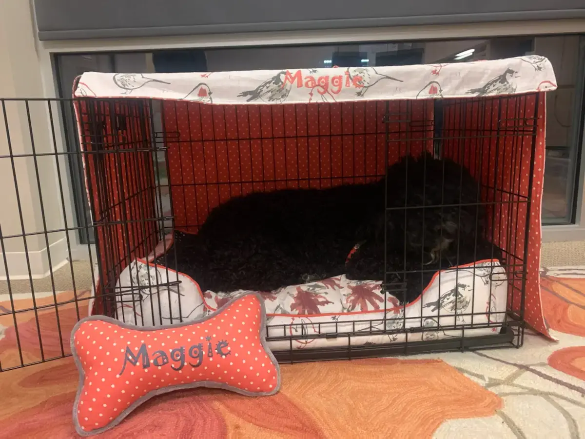 Maggie in their Crate Cover, a customer photo