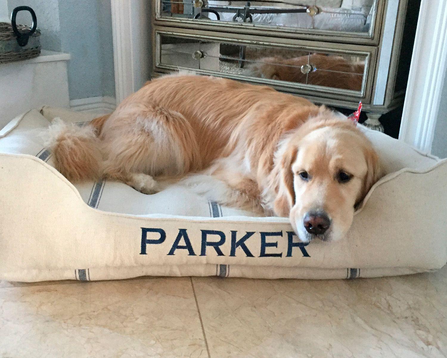 Parker, a golden retriever, resting in a grain sack Cuddle Bed with his name in navy