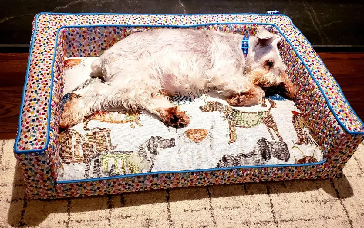 A customer's Edgy Pet Bed: COM Edgy Bed