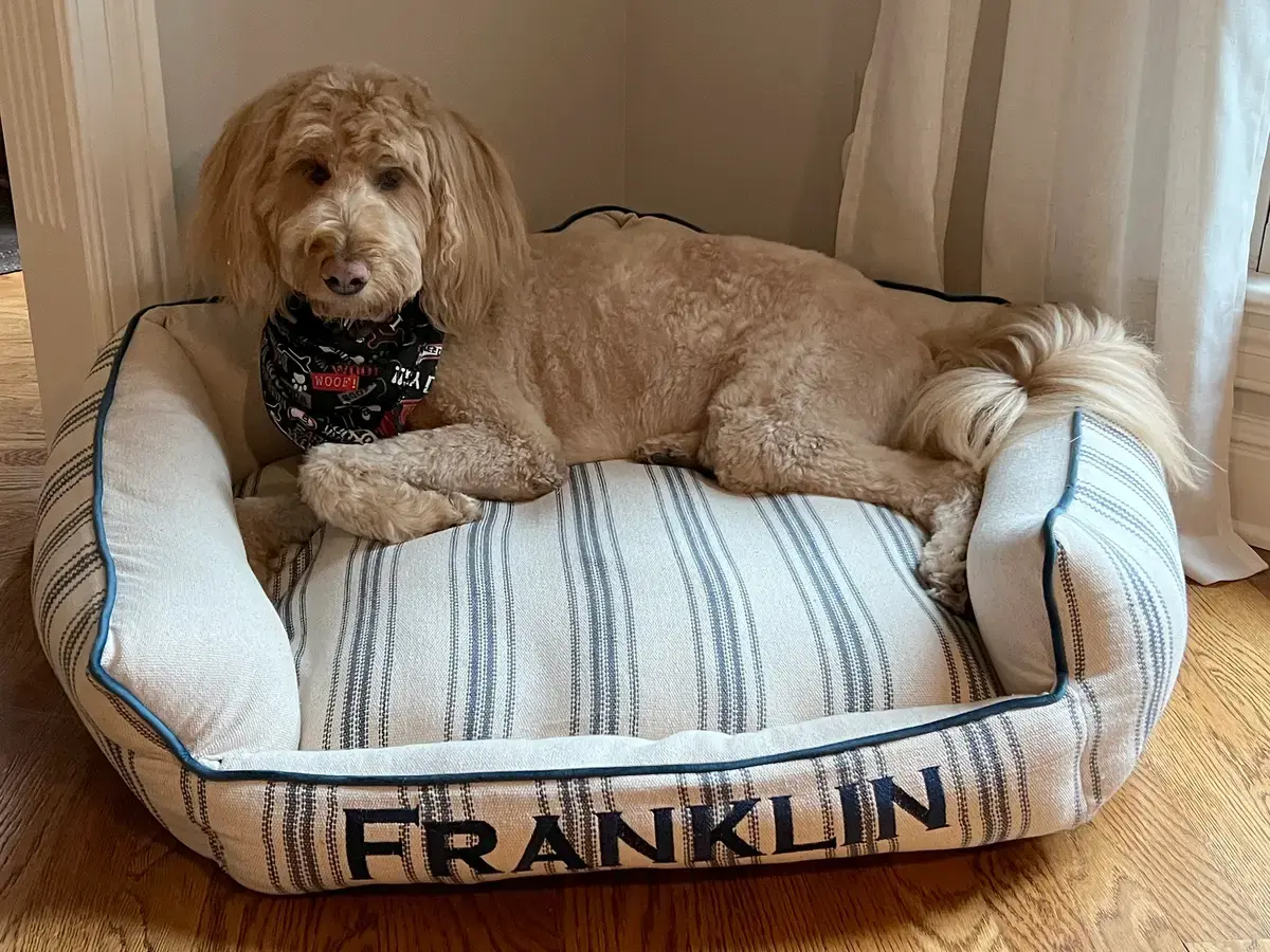 A customer's Penthouse Pet Bed: Franklin Feedsack