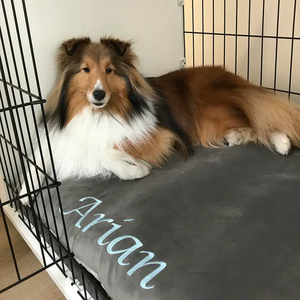 Arian in their Pillow Pet Bed, a customer photo