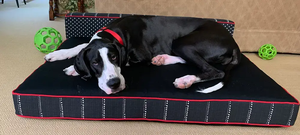 Babe in their Rectangle or Square Pet Bed, a customer photo
