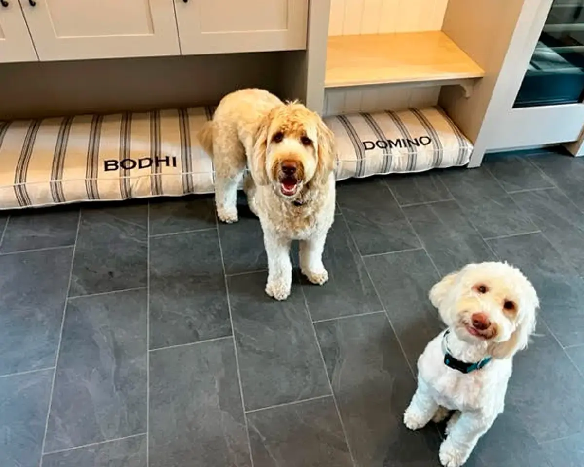A customer's Rectangle or Square Pet Bed: Bodhi and Domino Grain Sack Feedsack Custom Size Beds