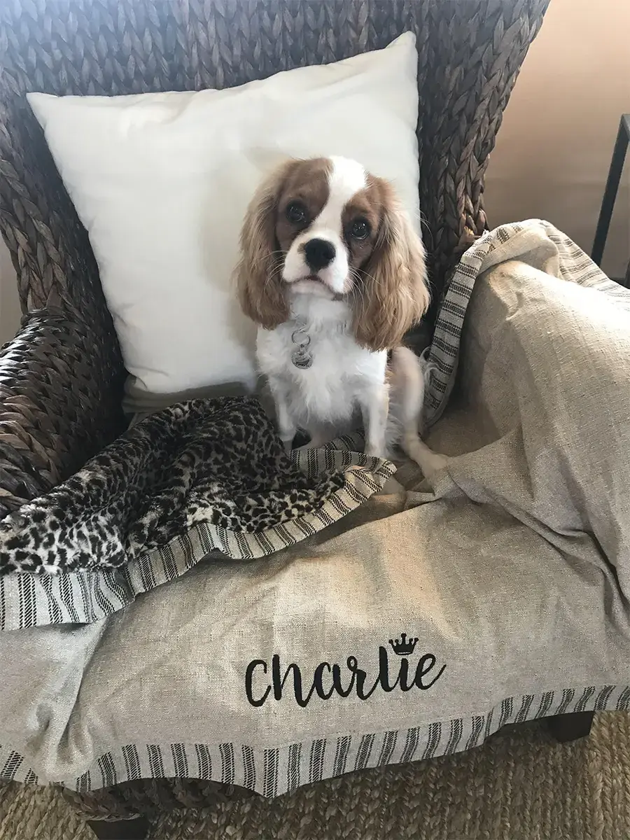 Charlie in their Signature Blanket, a customer photo