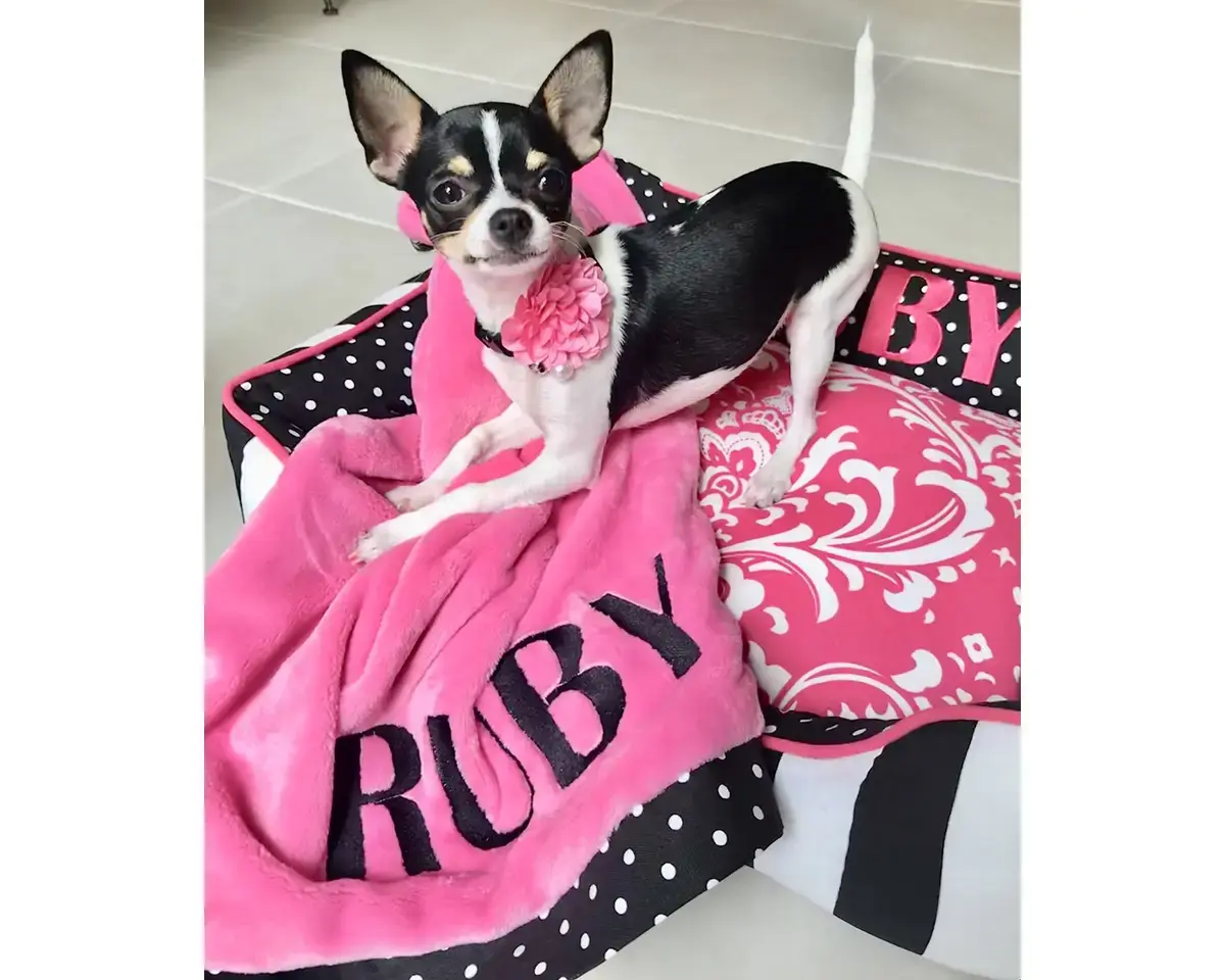 Ruby1 in their Signature Blanket, a customer photo