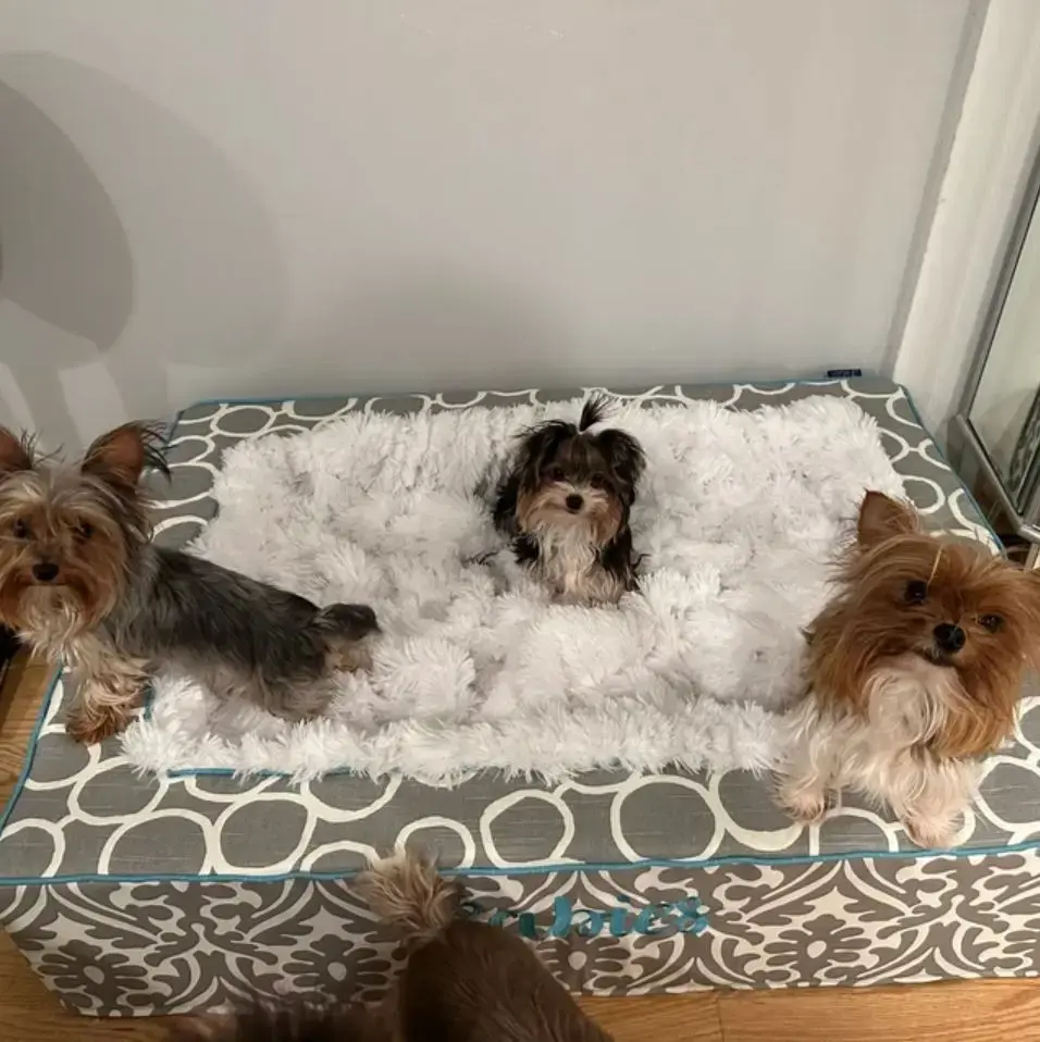 A customer's Throne Pet Bed: Babies 32x40 throne