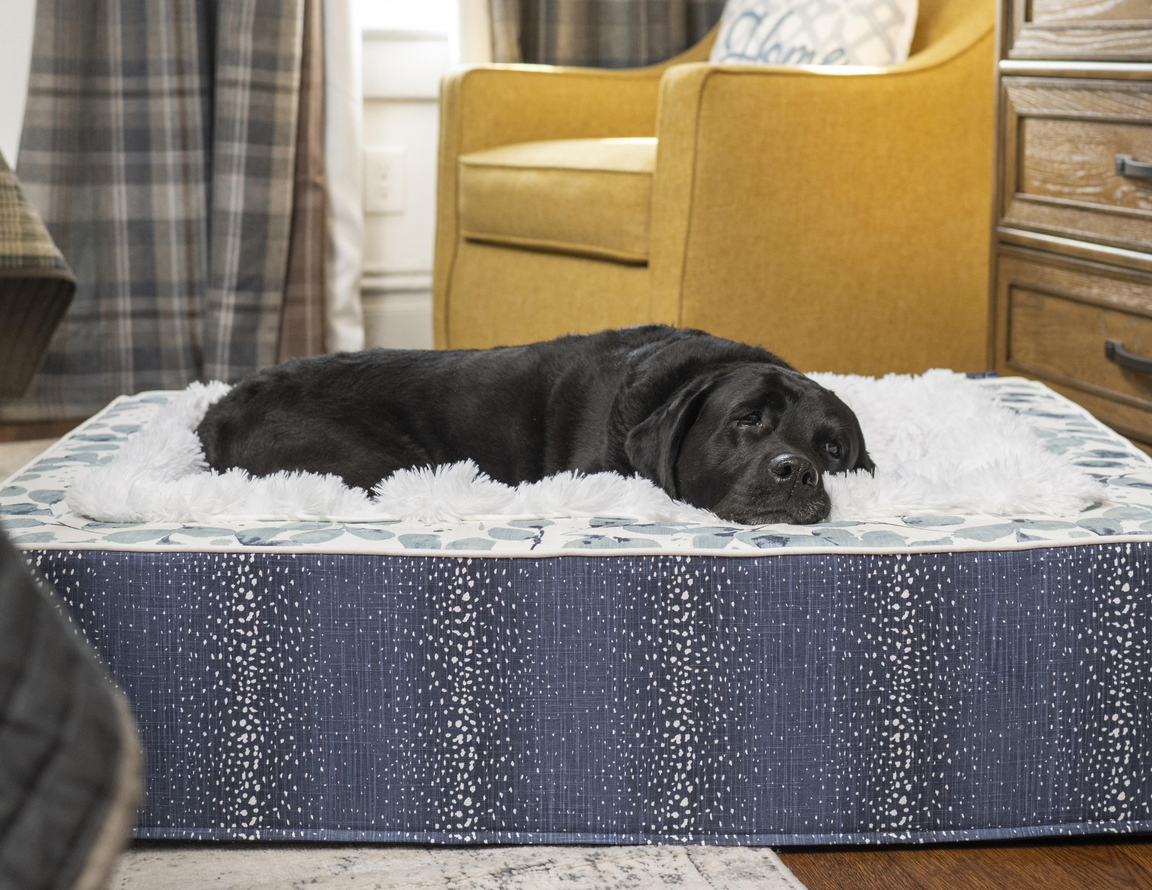 Throne Bed replacement insert request