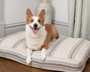 grain sack dog bed cushion