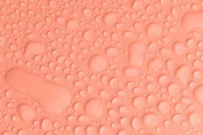 J'adore waterproof pet bed insert cover