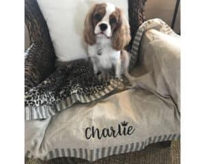 custom dog blanket embroidery