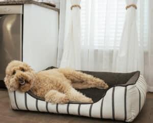 XXL Dog Bed, Boho Stripe, Bonded Sherpa