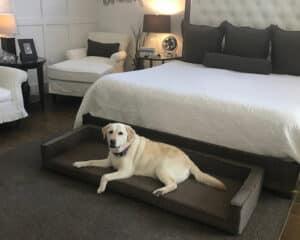 custom size dog bed with sides COM Customer Own Material
