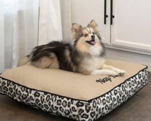 square medium dog bed leopard