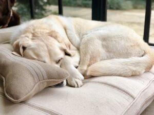 Tan Feedsack Pillow min