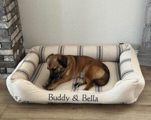 Feedsack Cuddle Bed with Gray Stripe