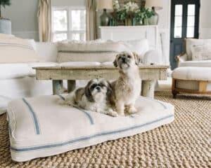 40x32 Rectangle Feedsack Bed with Blue Stripe