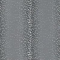 Antelope Falcon Gray