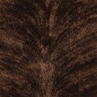 Brindle Hickory