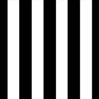 Canopy Black/White