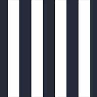 Canopy Blue/White
