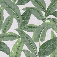 Jungle Mirage
