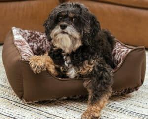western dog bed small faux cowhide
