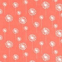 Small Dandelion Coral/White