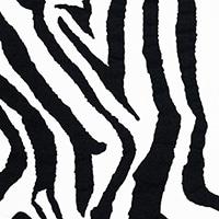 Zebra Black/White