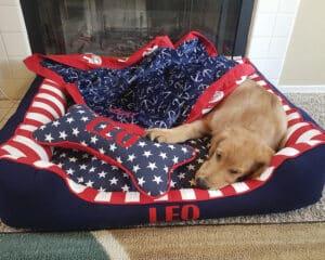 x-large patriotic dog bed with pillow and blanket