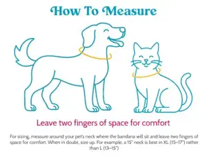 Bandana How to Measure