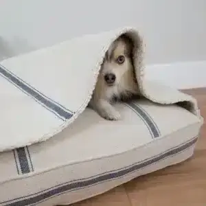 custom bed with dog bed