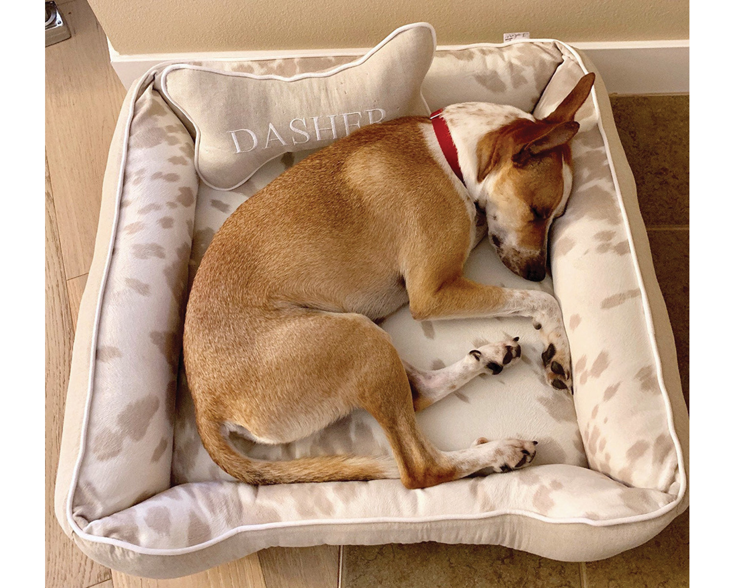 J'adore bed review from Sue H.