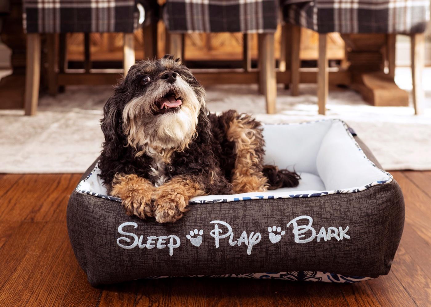 Cozy cuddle dog bed with a small dog leaning against the bolster