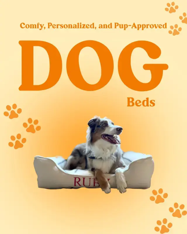 A bed made for sweet dreams and happy paws πΎπ€