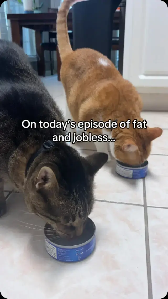 When our only job is being cute but apparently tha
