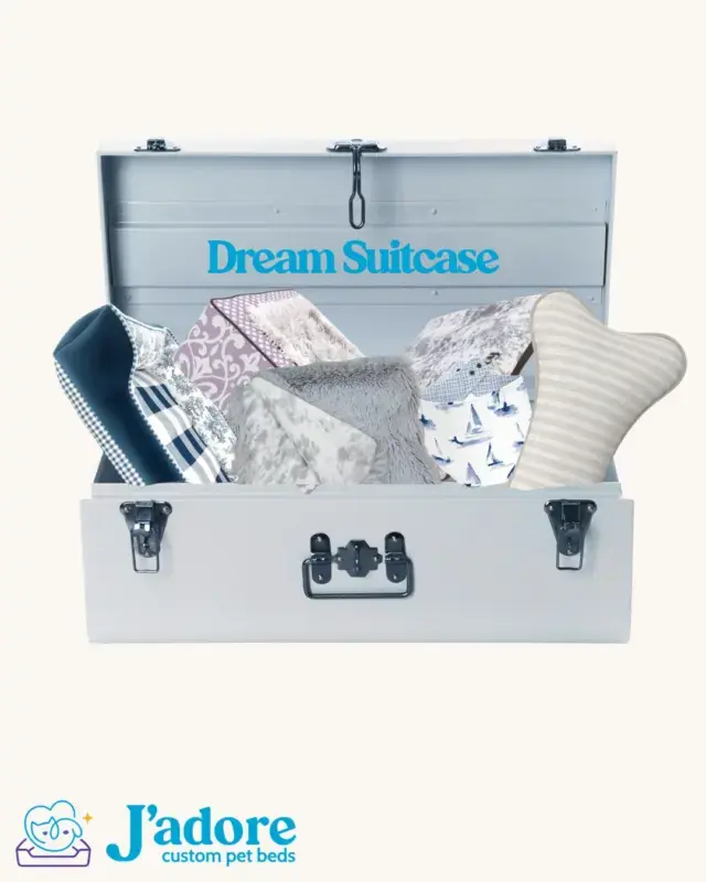 POV: you finally packed your dream suitcase⦠and i