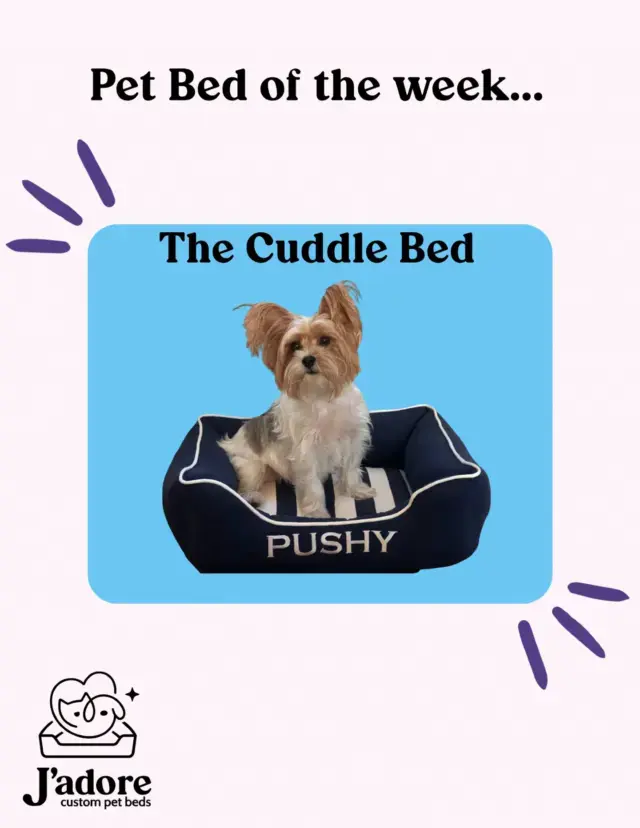 Pet bed of the week!!! πΎ Meet the cuddle bed, mad