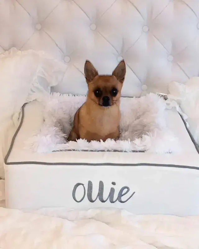 The perfect spot for naps, cuddles, and all the sw