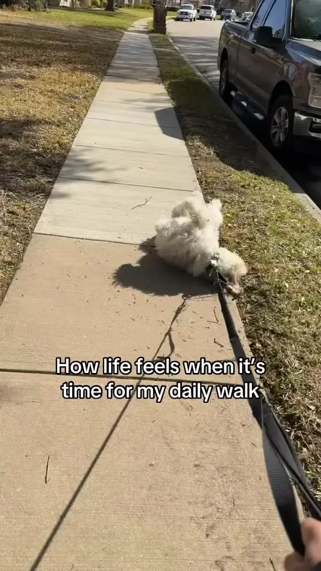 Touching grass, chasing squirrels, then heading ho