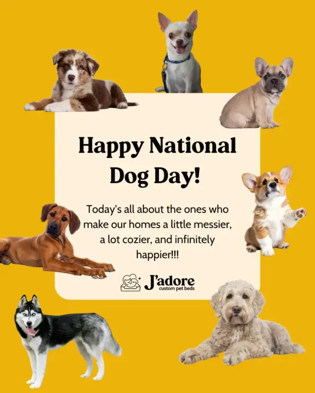 Happy National Dog Day from all of us at Jβadore!