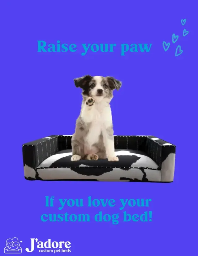 Who wouldnβt love a bed made just for them πΎπ€