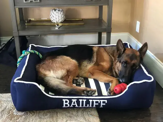 The cuddle bed is made for the coziest pups and th